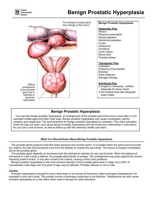 Blood In Stool And Enlarged Prostate