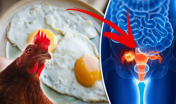Can cutting out EGGS really reduce the chances of ovarian ...