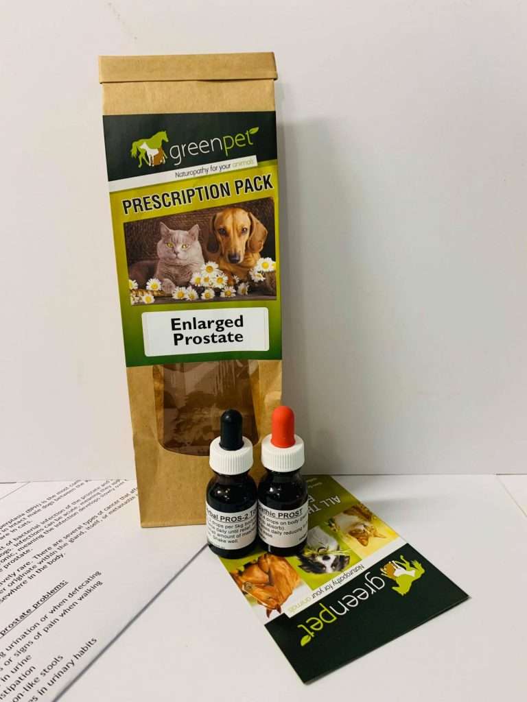 Canine Enlarged Prostate (BPH) Support Prescription Pack