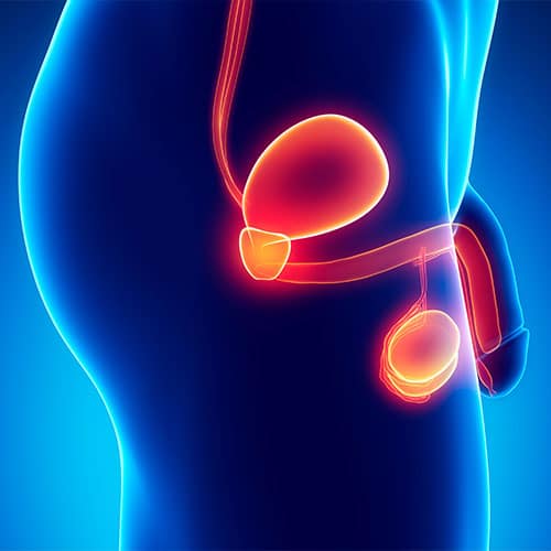 Does Enlarged Prostate Affect Erectile Dysfunction