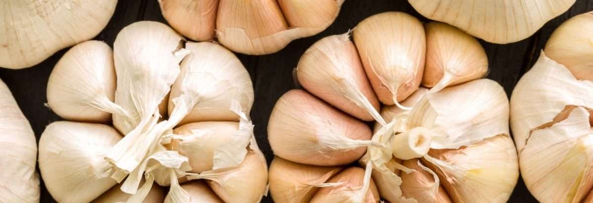 Garlic Shown to Prevent Prostate Growth as Effectively as a Drug in BPH ...