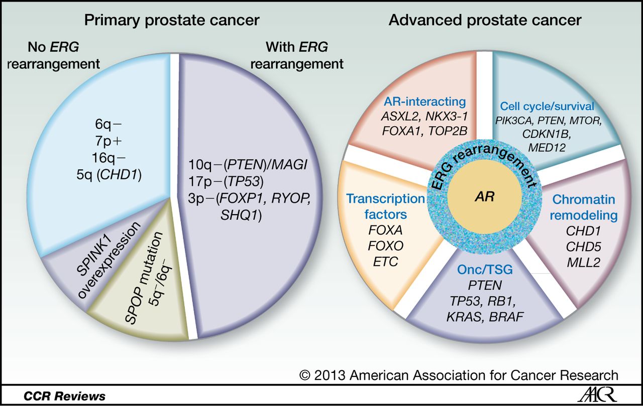 Genomic Profiling Defines Subtypes of Prostate Cancer with ...