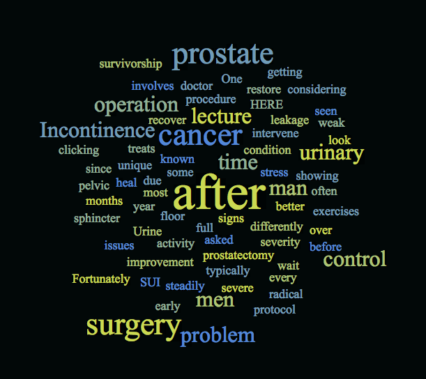 Incontinence after radical prostatectomy for prostate cancer