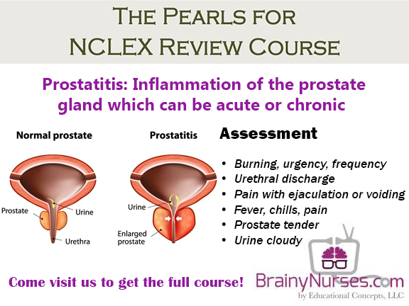 Male and Female NCLEX Review