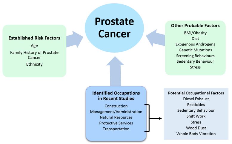 Occupation related to prostate cancer risk in Canadian men ...