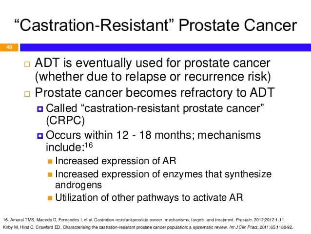 Overview and Pharmacotherapy of Prostate Cancer (based on ...