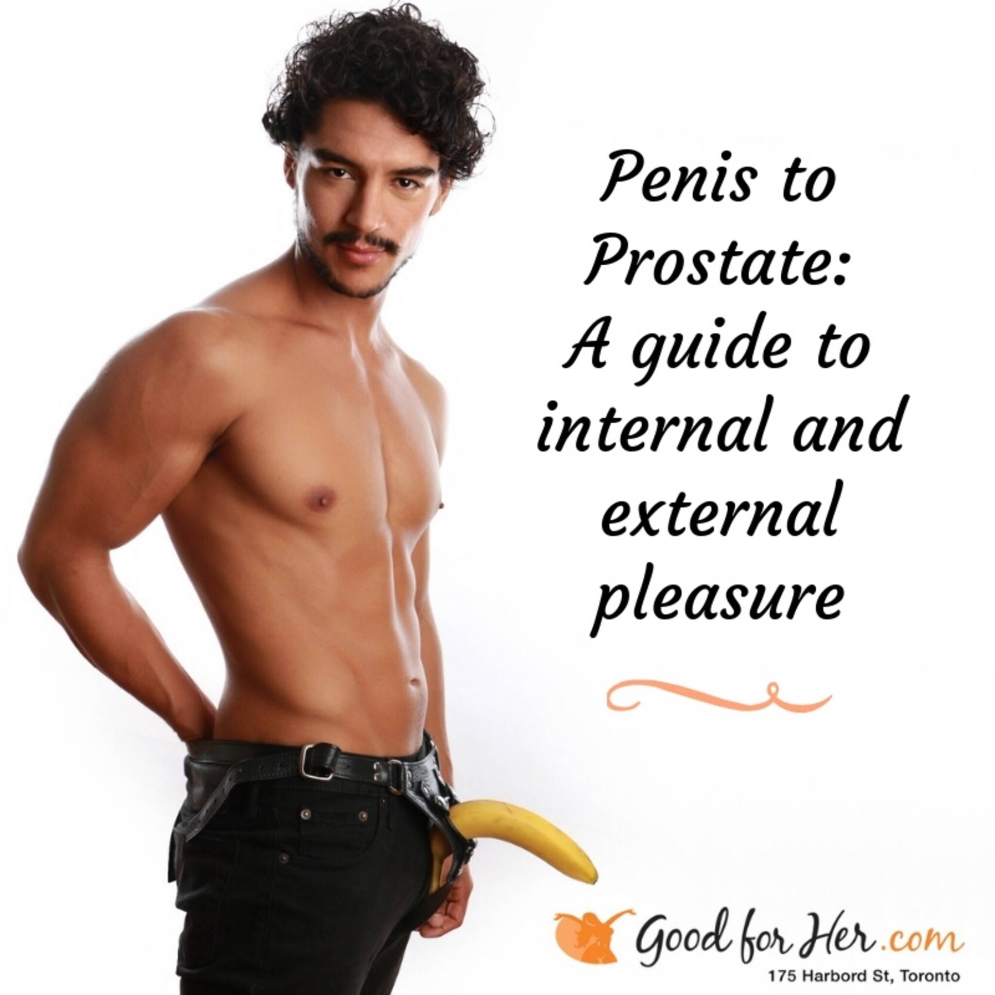 Penis to Prostate: A Guide to Internal and External Pleasure