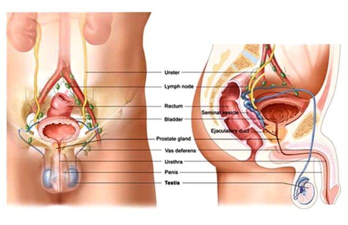 Prostate Disorders Men: Symptoms, Causes, Remedies,Diet ...