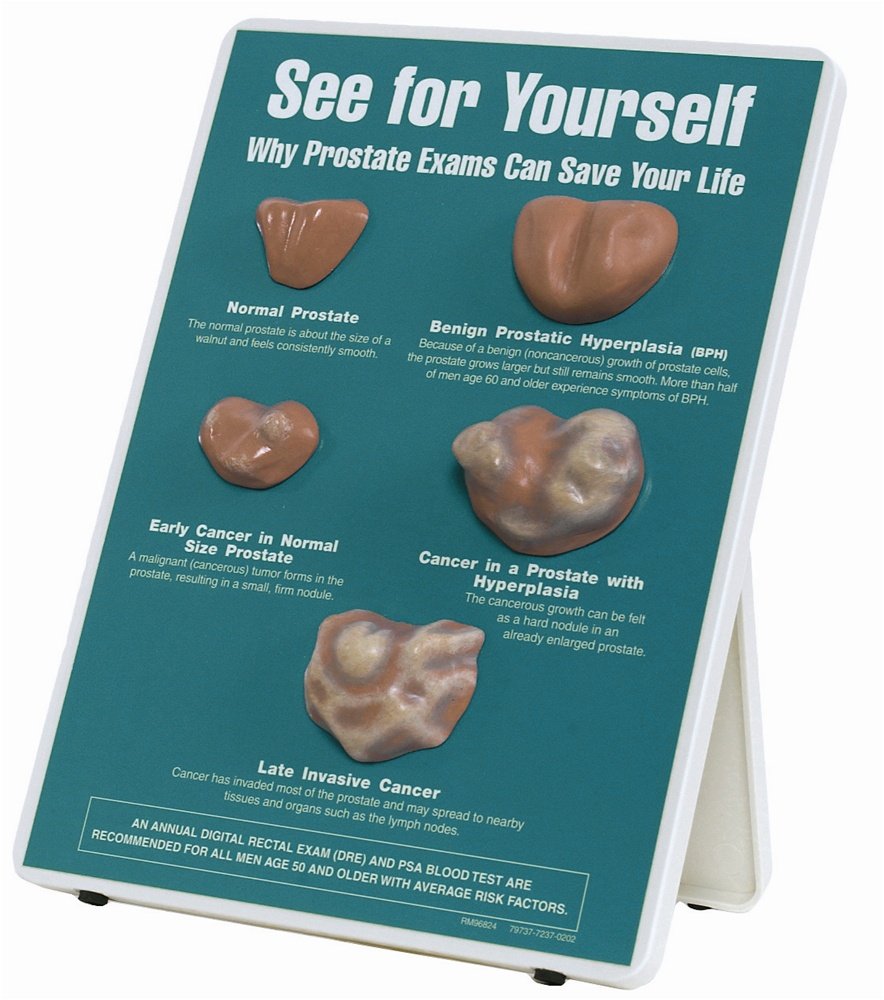 See For Yourself: Prostate Exams Easel Display