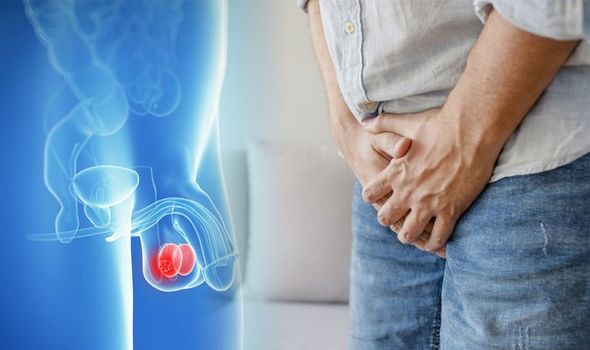 Testicular cancer symptoms: Cough could be sign the ...