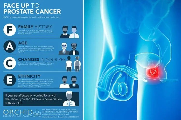 What is prostate cancer? Signs and symptoms of the ...